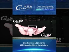 व्यावसायिक प्रदर्शन प्रकार 11